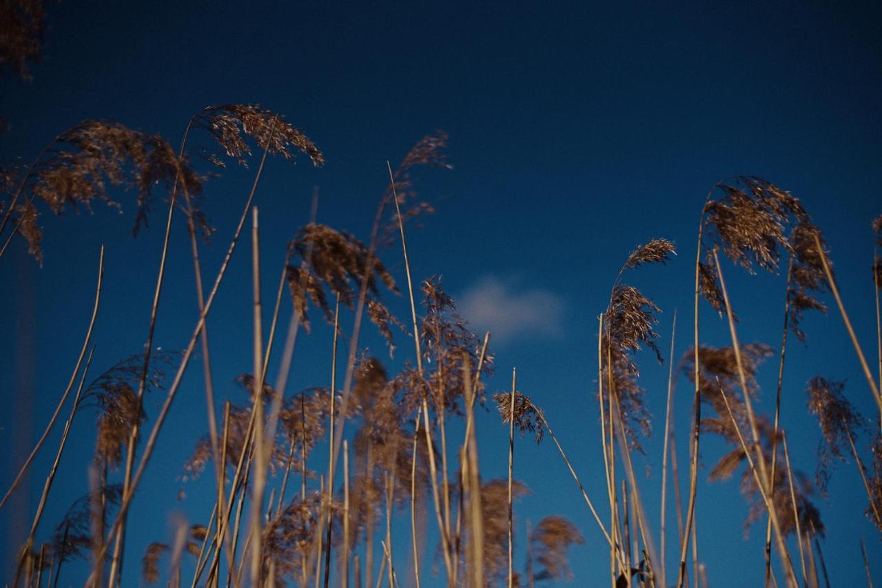 Folwark Bilsken Exteriér fotografie